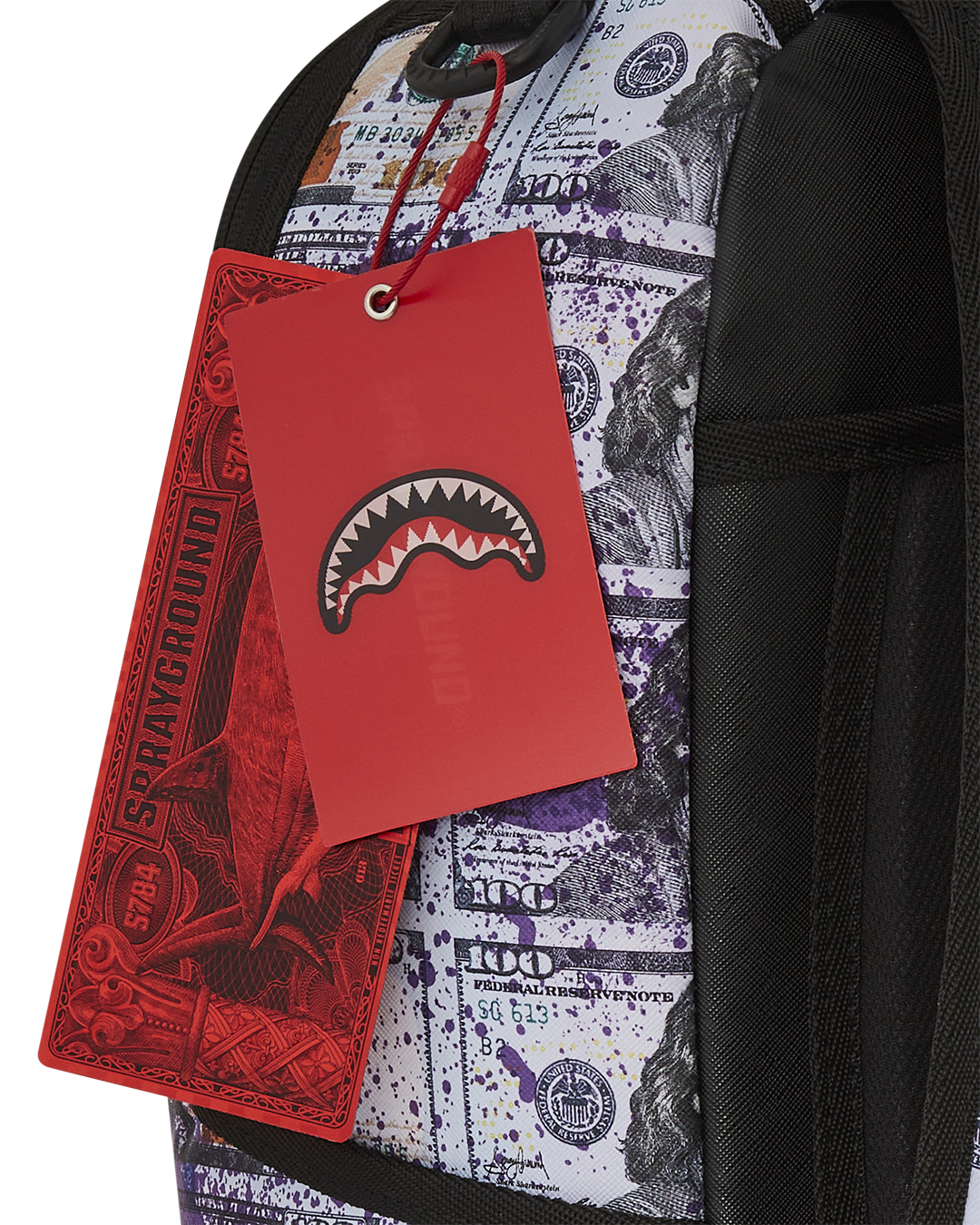 BILLIONS IN THE BANK BACKPACK - Image 15